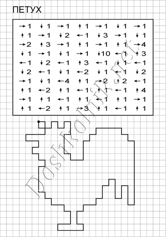 Графический диктант 1 класс петух по клеточкам