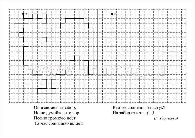 Графический диктант по клеточкам для дошкольников 6-7 петух
