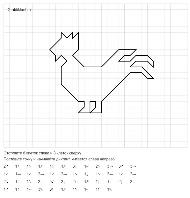 Графический диктант курица