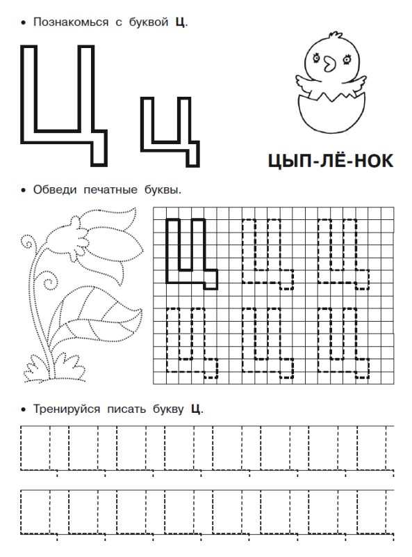 Буква ц пропись для дошкольников