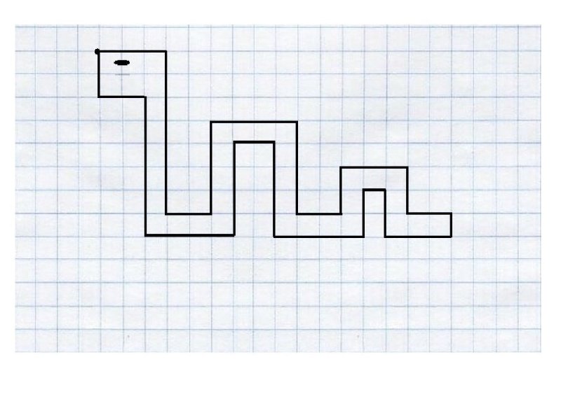 Рисование по клеточкам в тетради