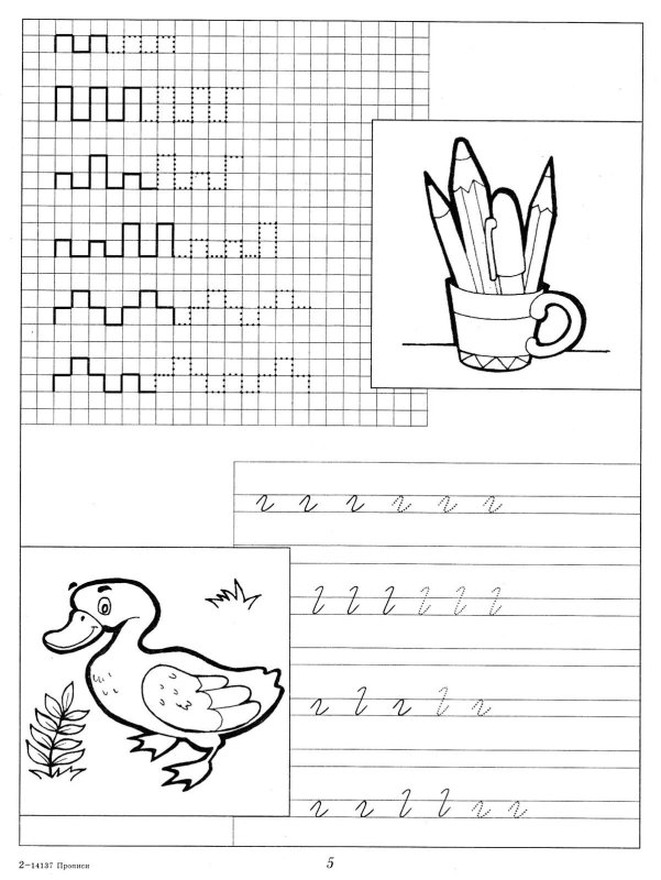 Подготовительные прописи для дошкольников