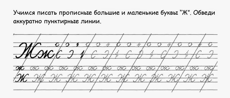Прописи буквы ж для дошкольников прописная