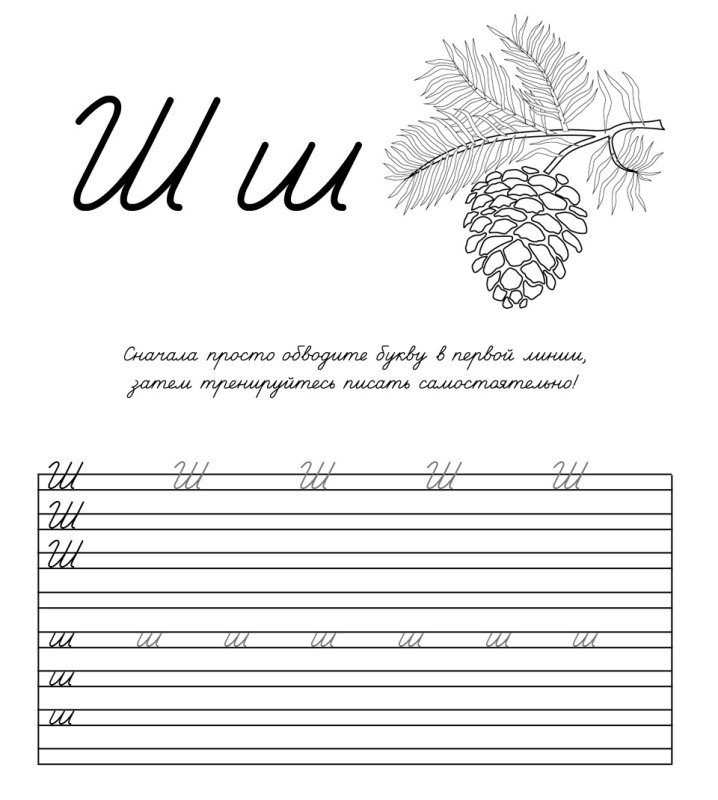 Пропись буква ш ш