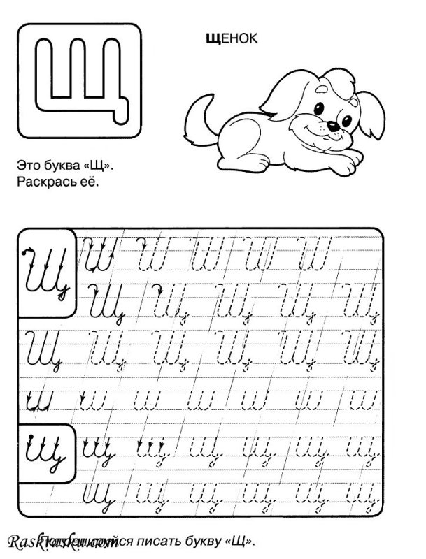 Правописание буквы щ прописью