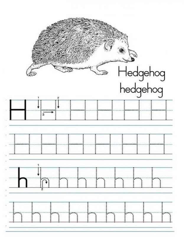 Английские прописи для детей