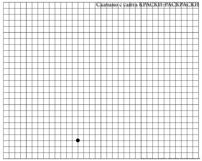 Лист в клеточку для графического диктанта