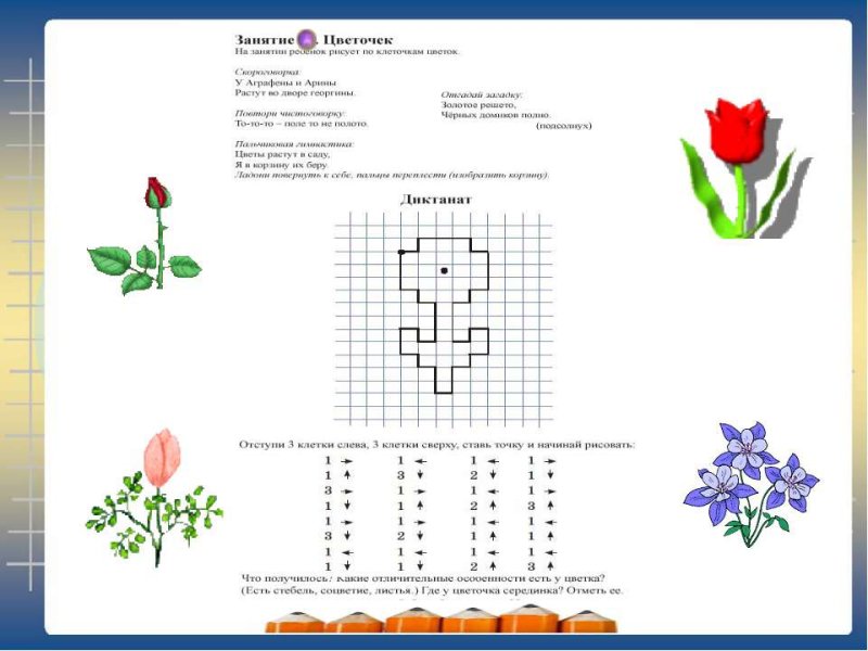 Графический диктант тюльпан для дошкольников