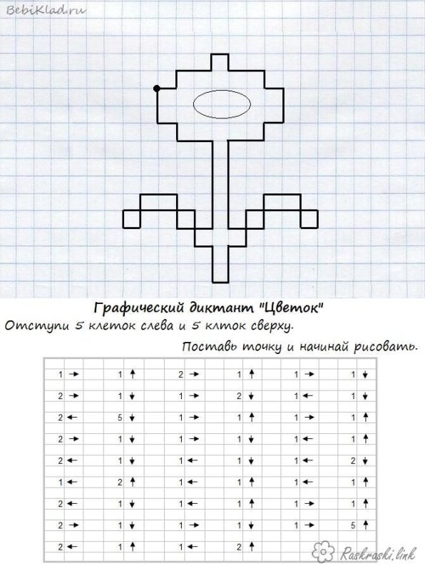 Графический диктант для дошкольников 6-7 лет по клеточкам цветок