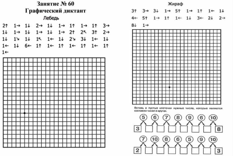 Графический диктант число 8