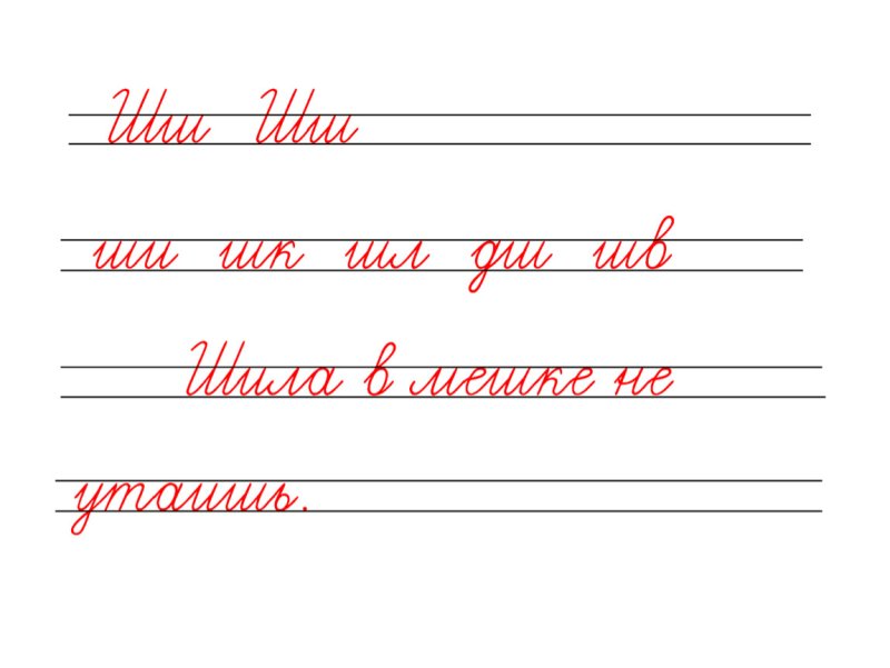 Минутка ЧИСТОПИСАНИЯ буква ш