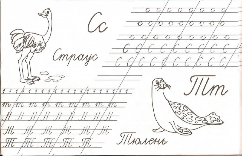 Прописи для дошкольников буквы прописные буква а