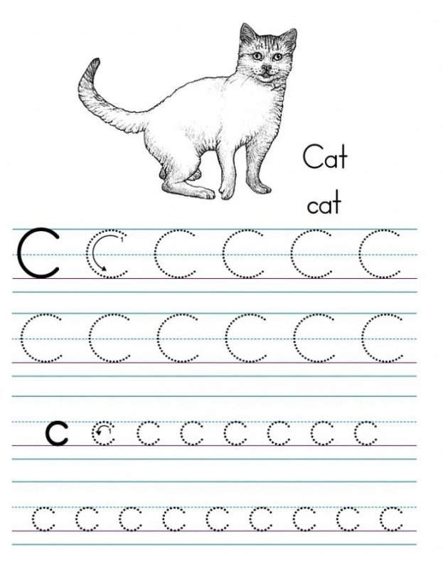 Английские прописи для дошкольников