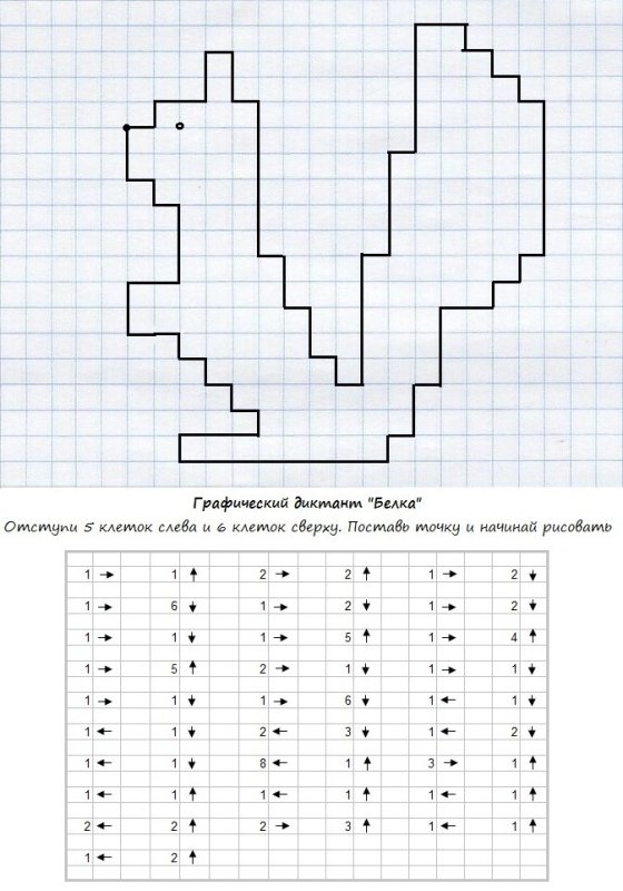 Графический диктант белка по клеточкам для дошкольников