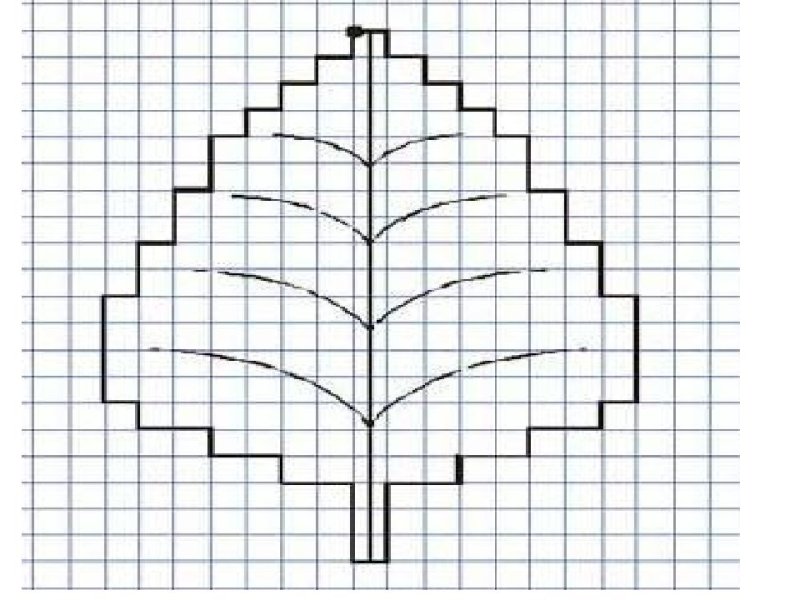 Графический диктант листик