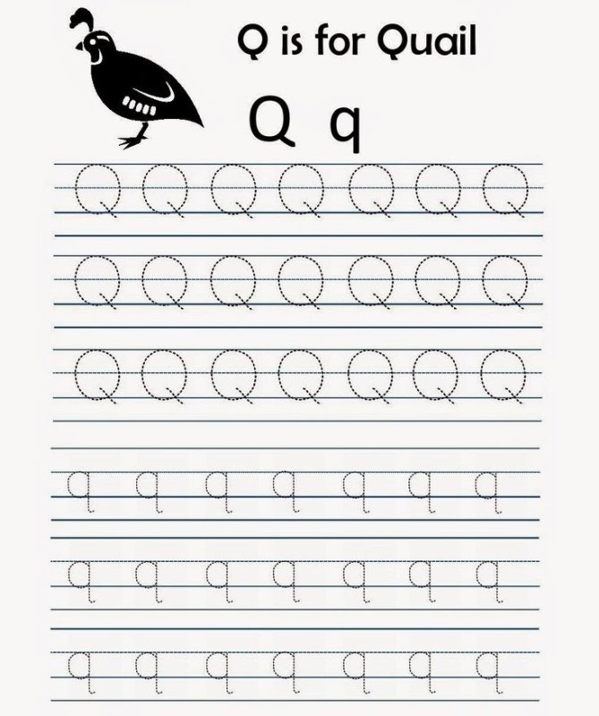 Letter q Worksheets for Kids