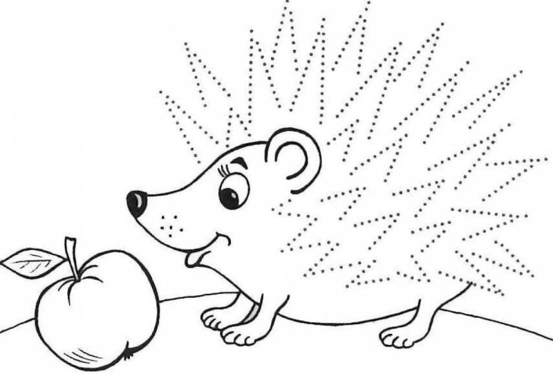 Ежик с яблоком раскраска