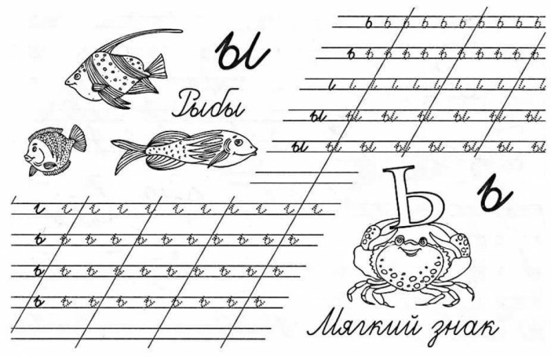 Прописные буквы прописи буква ы