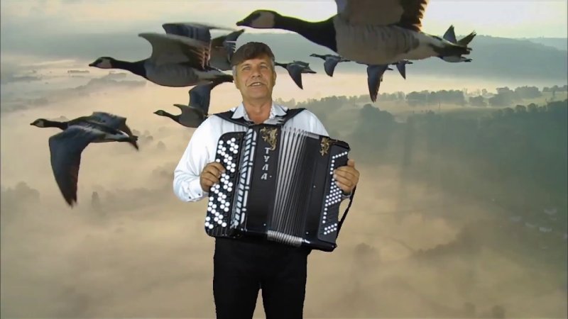 Гуси гармонисты