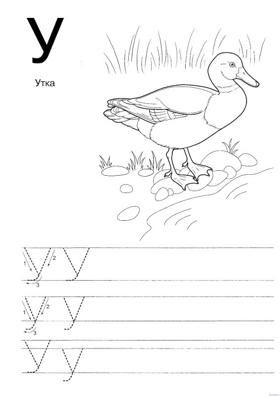 Прописи для дошкольников буквы
