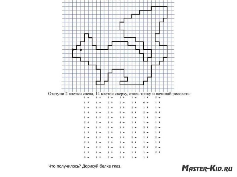 Графический диктант белка по клеточкам для дошкольников