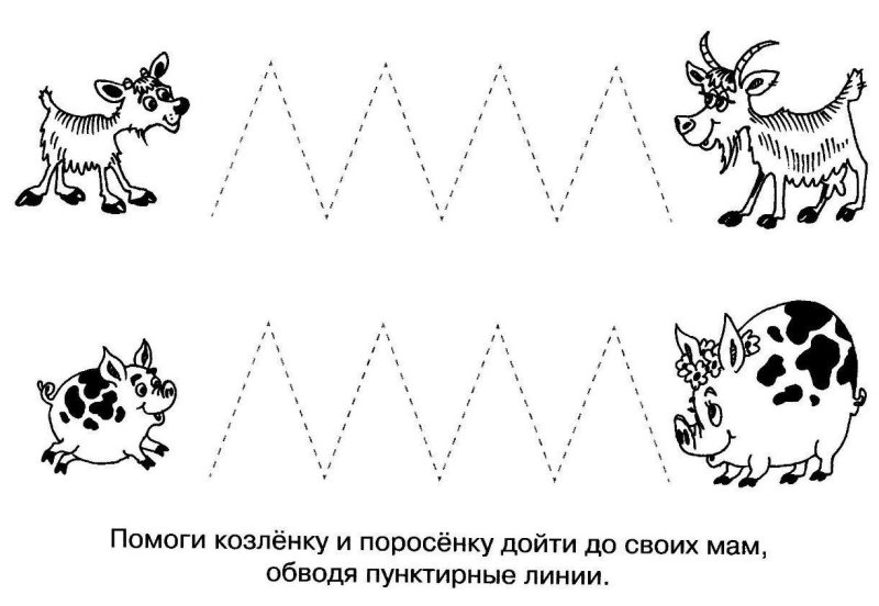 Подготовка руки ребенка к письму