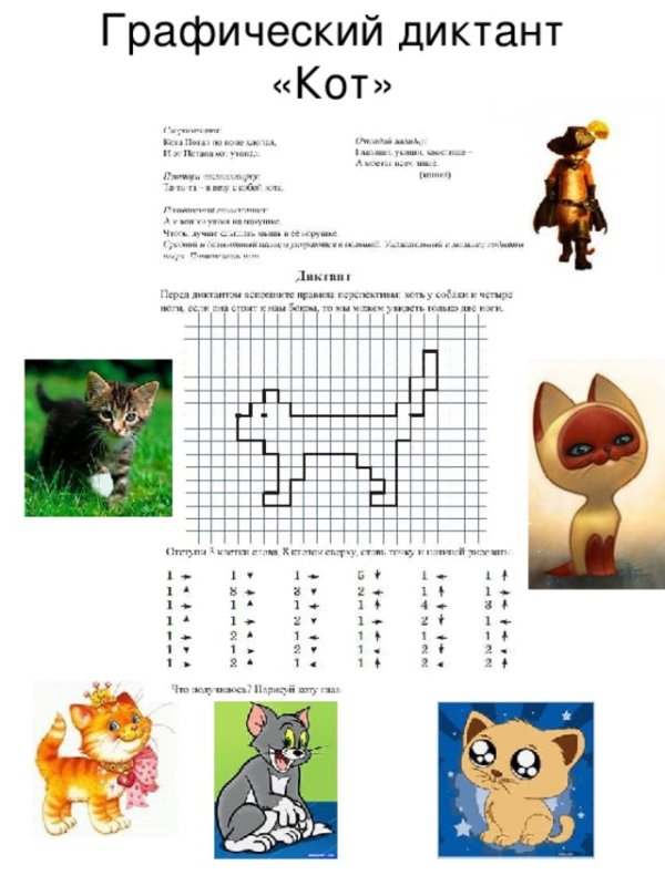 Графический диктант по клеточкам для дошкольников котик