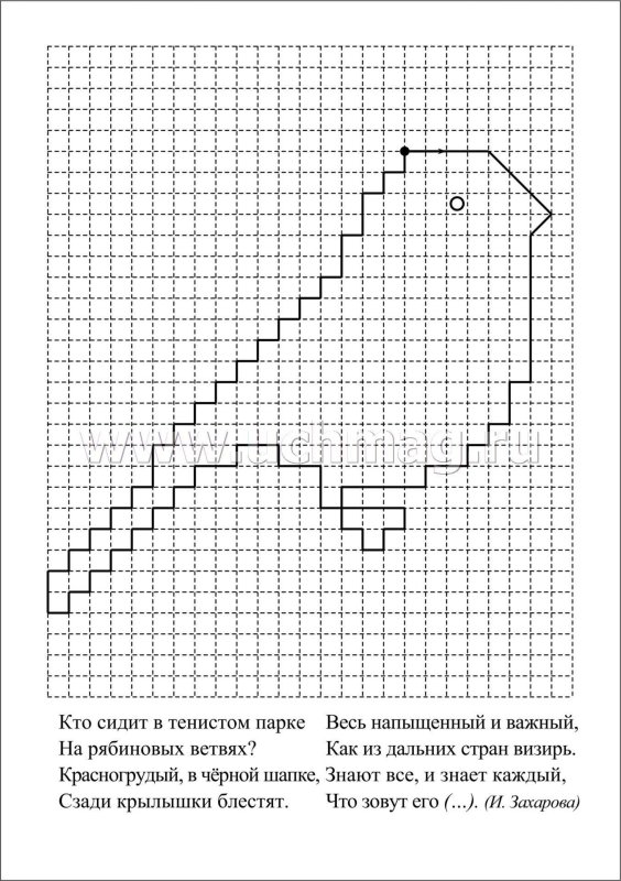 Графический диктант по клеточкам для дошкольников 6-7 птичка