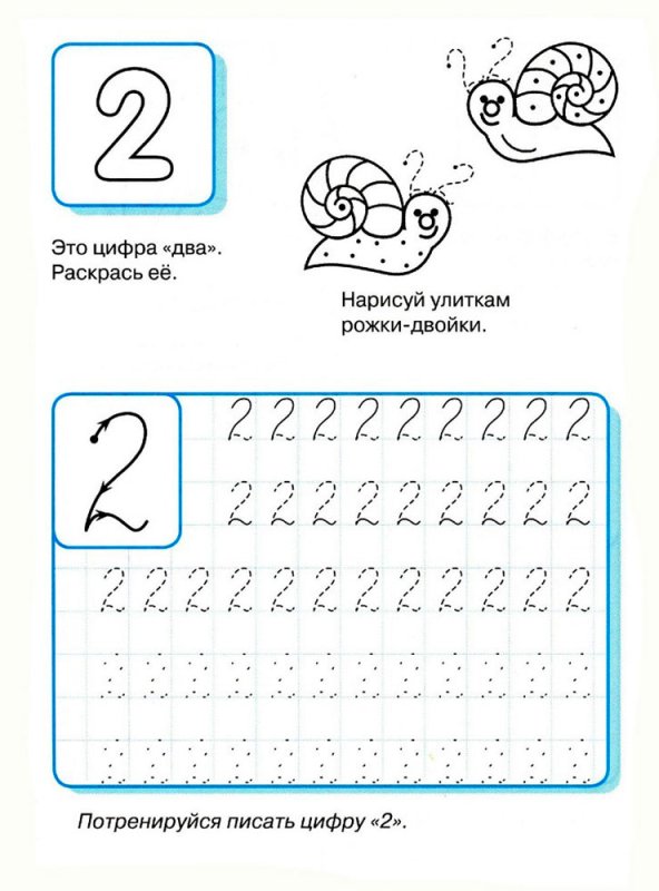 Пропись математика для дошкольников цифра 2