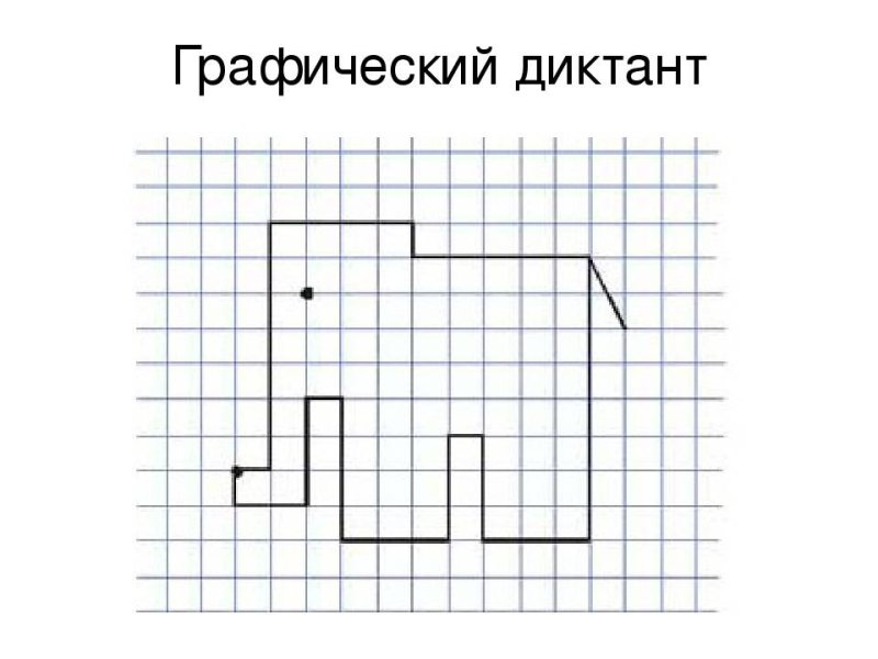 Математический диктант по клеточкам для дошкольников слон