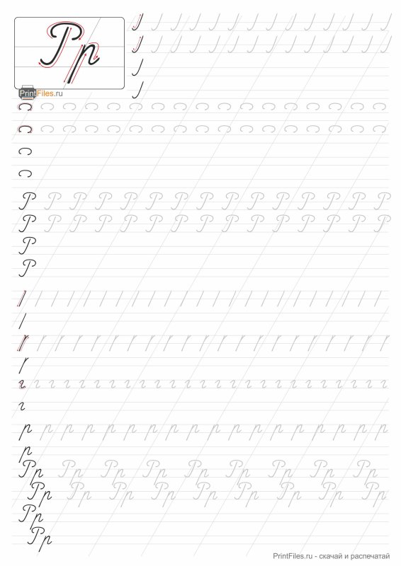 Буква прописная р пропись 1 класс
