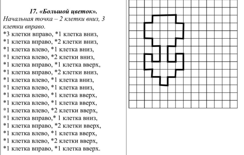 Графический диктант для дошкольников цветочек
