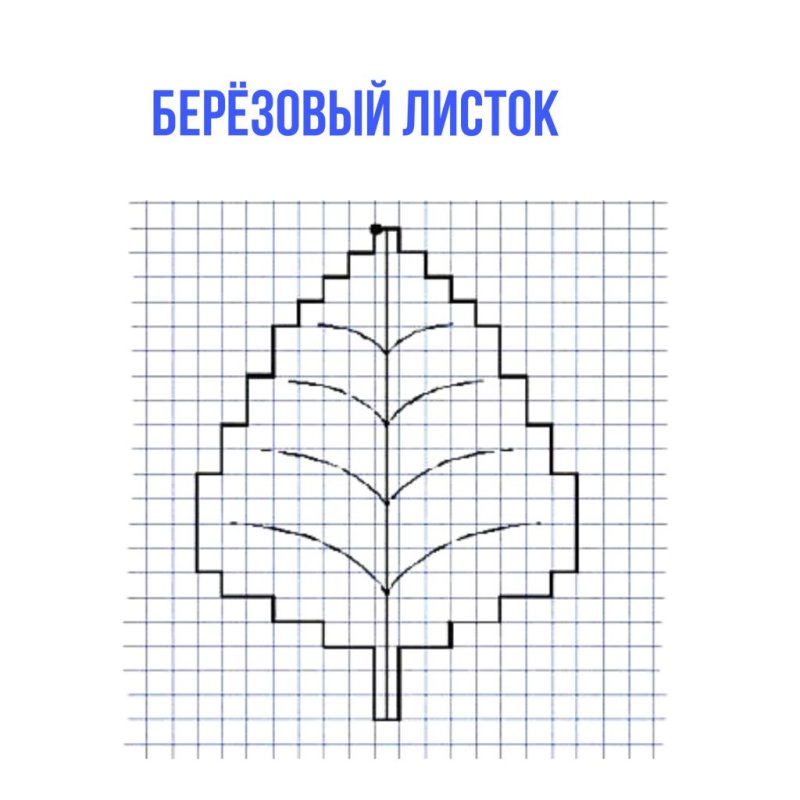 Графическое рисование по клеточкам