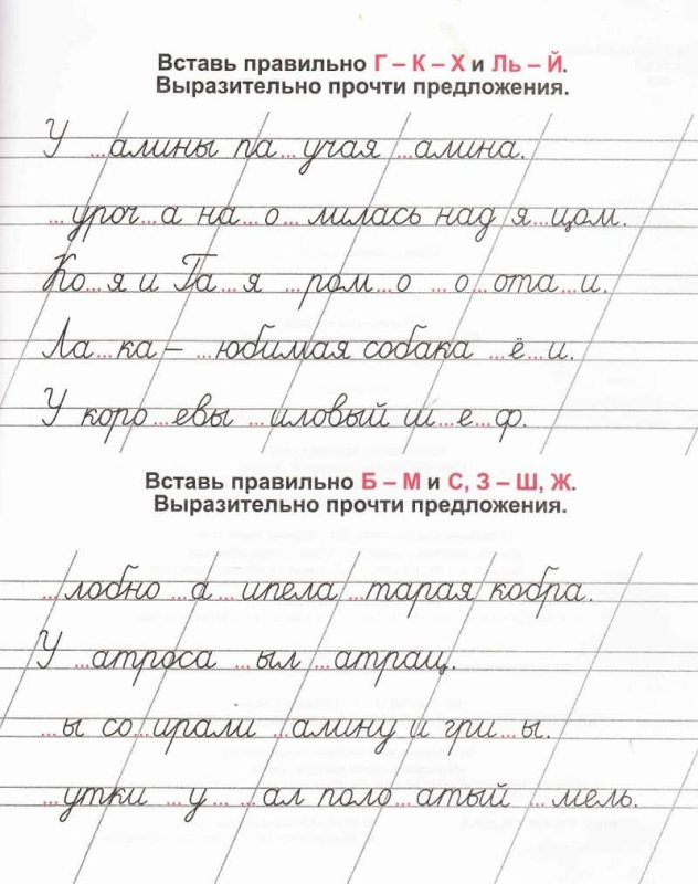 Прописи согласные