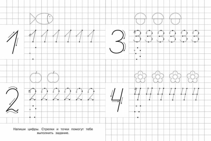 Прописи цифры для дошкольников 4-5 лет
