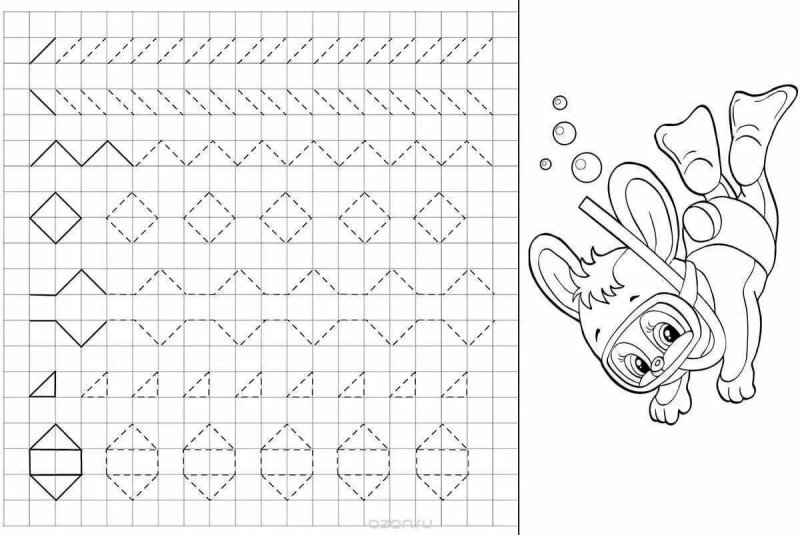 Задания прописи для дошкольников 5-6