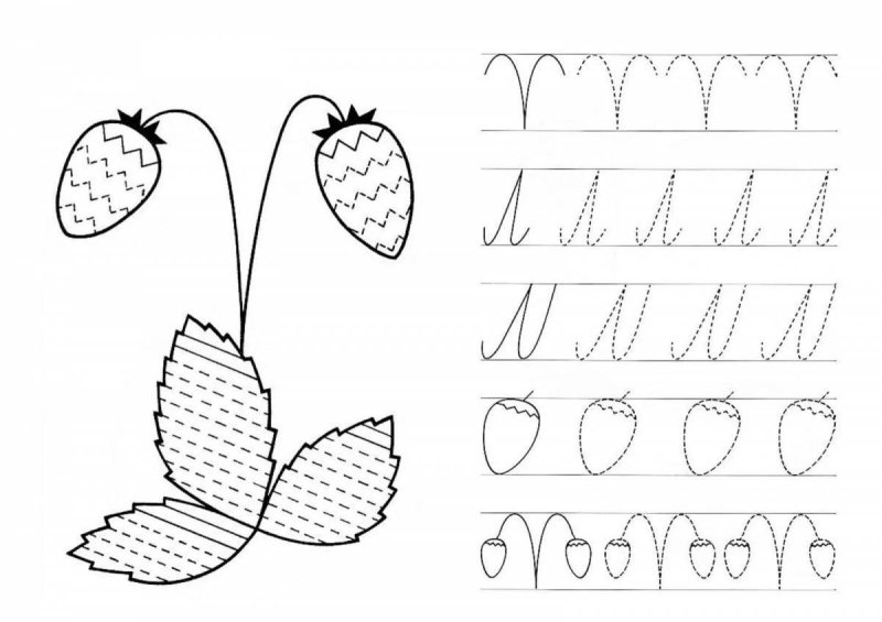 Прописи для дошкольников 5-6