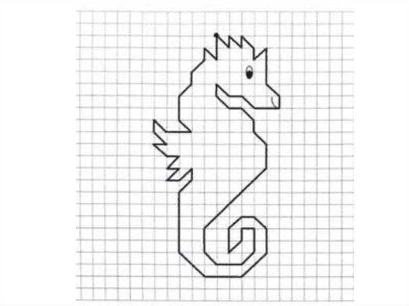 Рисунки по клеточкам