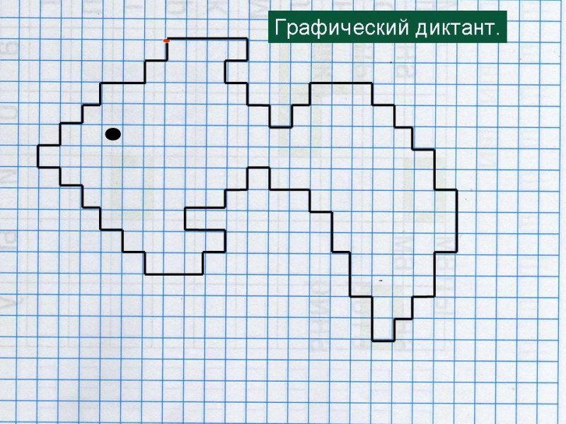 Графические диктанты