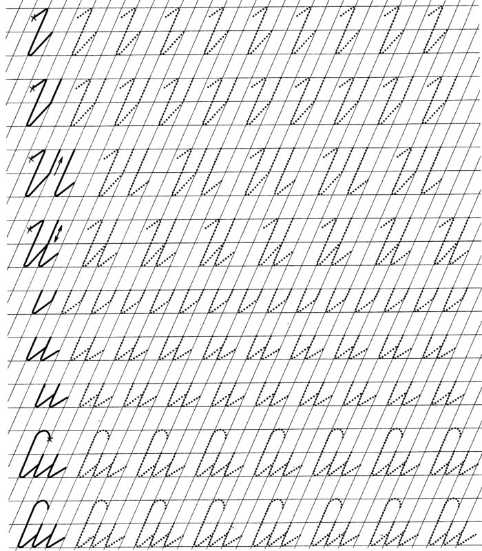 Каллиграфия для начинающих упражнения для детей прописи