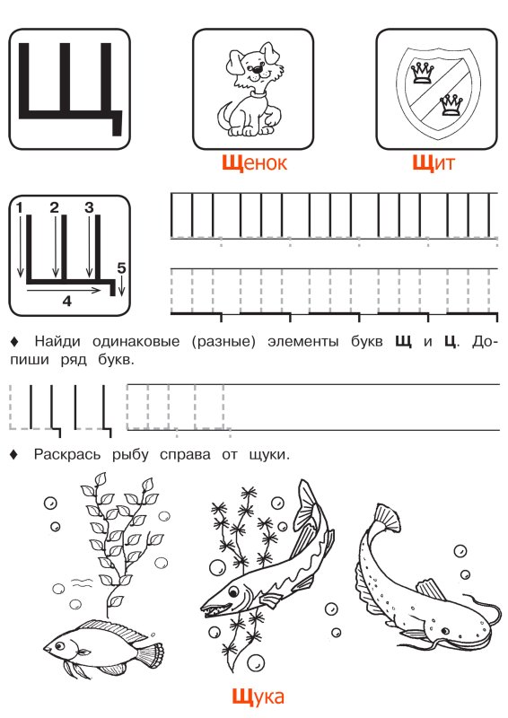 Буква щ задания для дошкольников прописи
