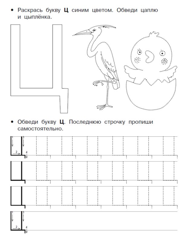 Буква ц задания для дошкольников