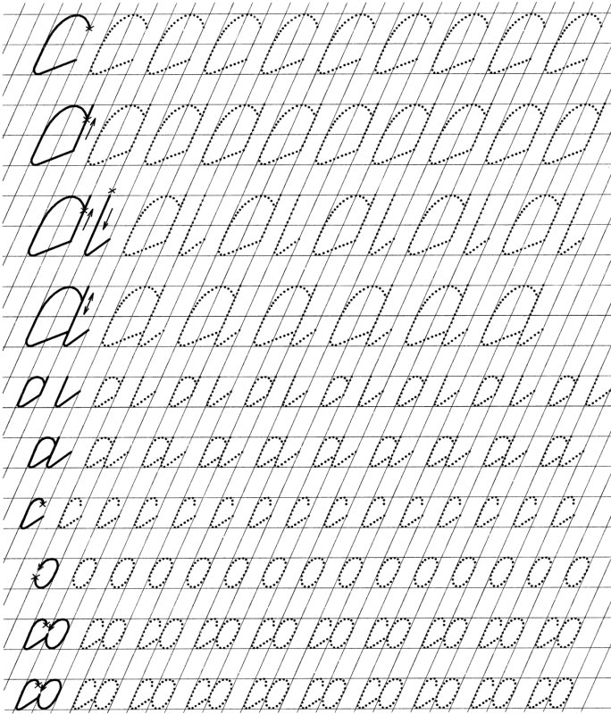 Каллиграфия для начинающих упражнения для детей прописи