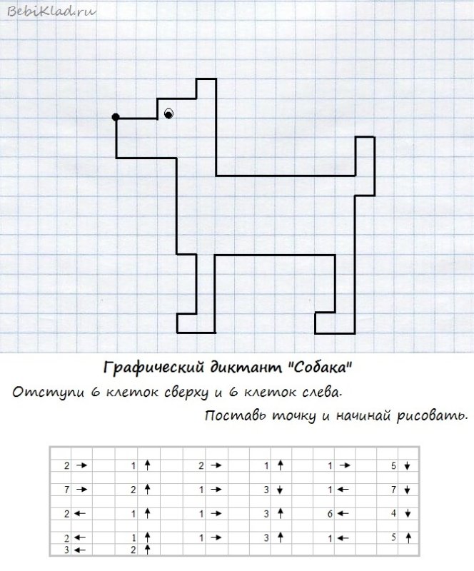 Математический диктант собачка для дошкольников по клеточкам