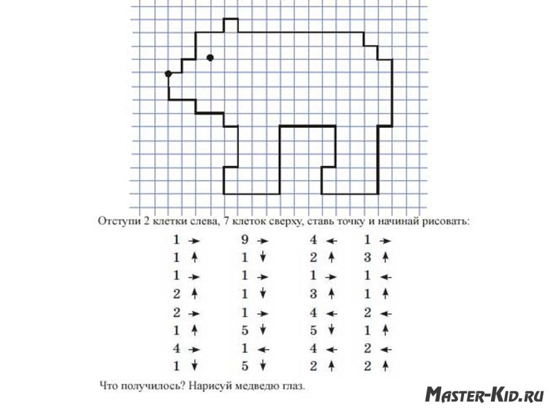 Графический диктант для дошкольников мишка
