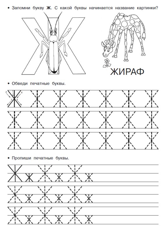 Буква ж печатная пропись для дошкольников