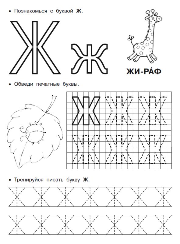 Пишем букву ж