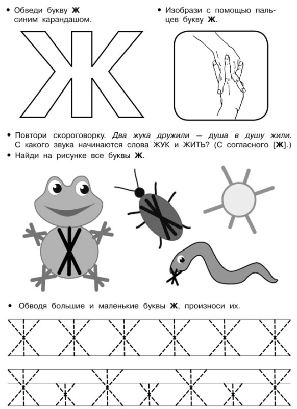 Буква ж пропись для дошкольников