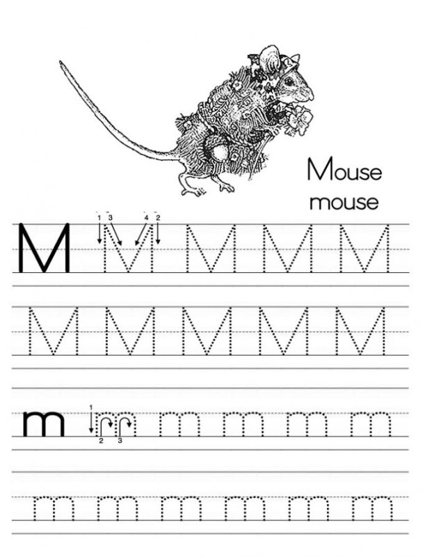 Прописи м для дошкольников