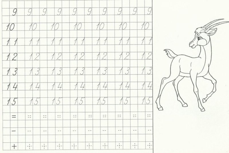 Цифры от 10 до 20 для дошкольников прописи